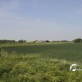 IMG_1146181