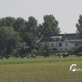 IMG_1144701