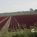 IMG_1144761
