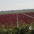 IMG_1144762