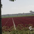 IMG_1144763