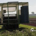 IMG_1144764