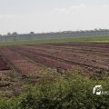 IMG_1144766