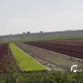 IMG_1144767