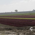 IMG_1144768