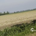 IMG_1144772