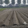IMG_1144773