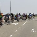 IMG_1144794