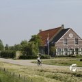IMG_1144817