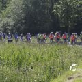 IMG_1145011