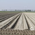 IMG_1145018