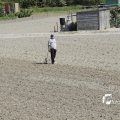 IMG_1145030