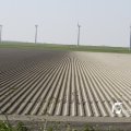 IMG_1145033