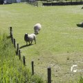 IMG_1145047