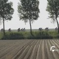 IMG_1145084