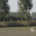 IMG_1145091