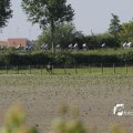 IMG_1145097