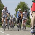 IMG_1145153