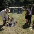 IMG_1155446