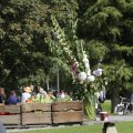 IMG_1173965