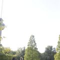 IMG_1174148