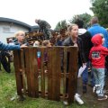 IMG_1174617