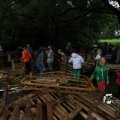 IMG_1174716