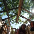 IMG_1174972