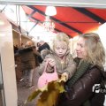 IMG_1192526