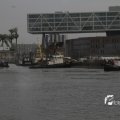 IMG_1195498