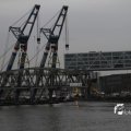 IMG_1195507