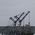 IMG_1195560