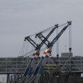 IMG_1195561