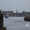 IMG_1195584