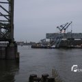 IMG_1195605