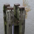 IMG_1195616