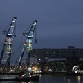 IMG_1195667
