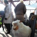 IMG_1196842