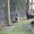 IMG_1201108