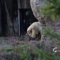 IMG_1201127