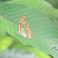 IMG_1201169