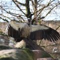 IMG_1201249
