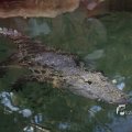 IMG_1201464