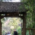 IMG_1201737