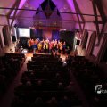 IMG_1208134a