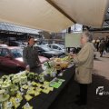 IMG_1214229