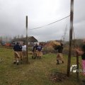 IMG_1218243