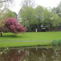 IMG_1227093