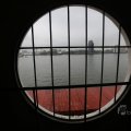 IMG_1227133