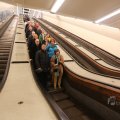 IMG_1227333